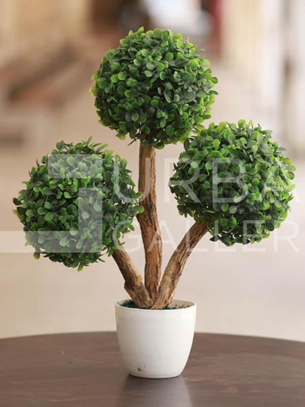 Bonsai planter 3 hands