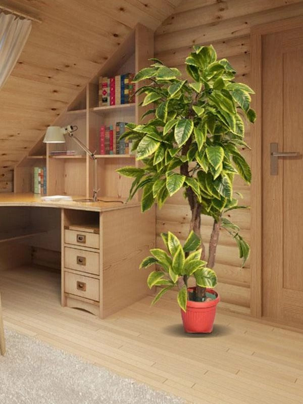 Large Planter 5