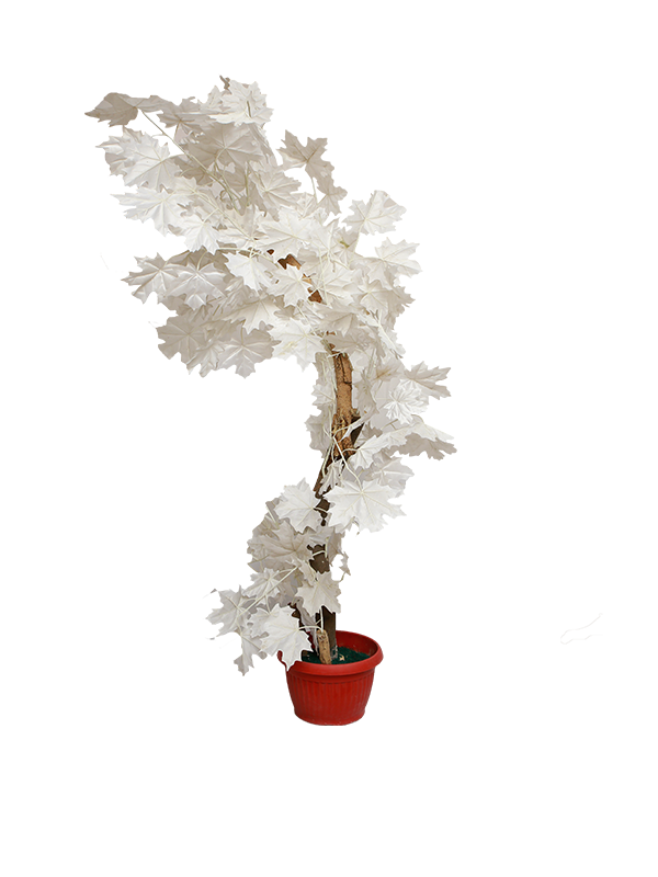 Alishia Planter-White - Urban Galleria